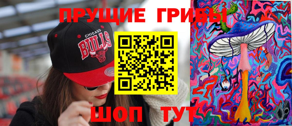 Ростов-на-Дону  Псилоцибиновые грибы мицелий  Вход с VPN  Псилоцибиновые грибы ЛСД 